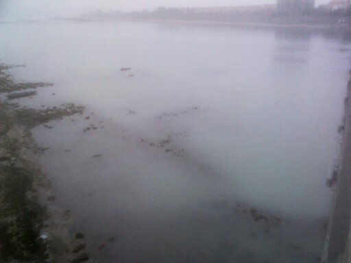 20121225գ鴨ɴű