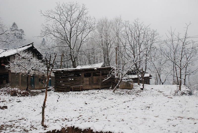 2009年初,摄于通江空山.