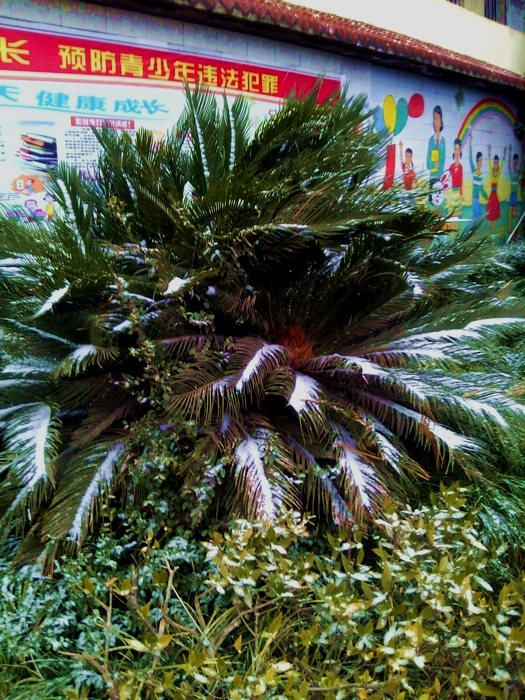 IMG00587.jpg