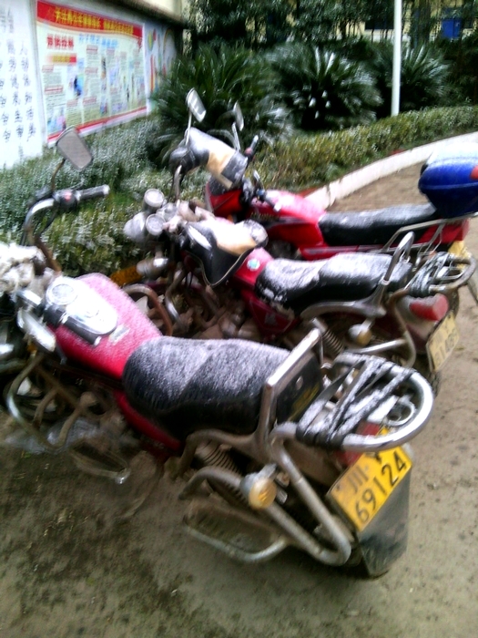 IMG00586.jpg