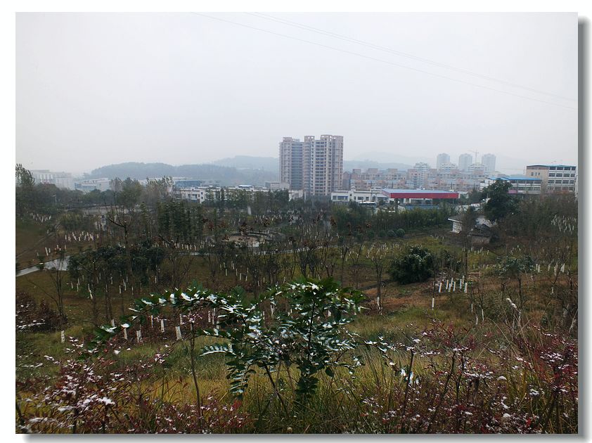 DSCF5556.jpg