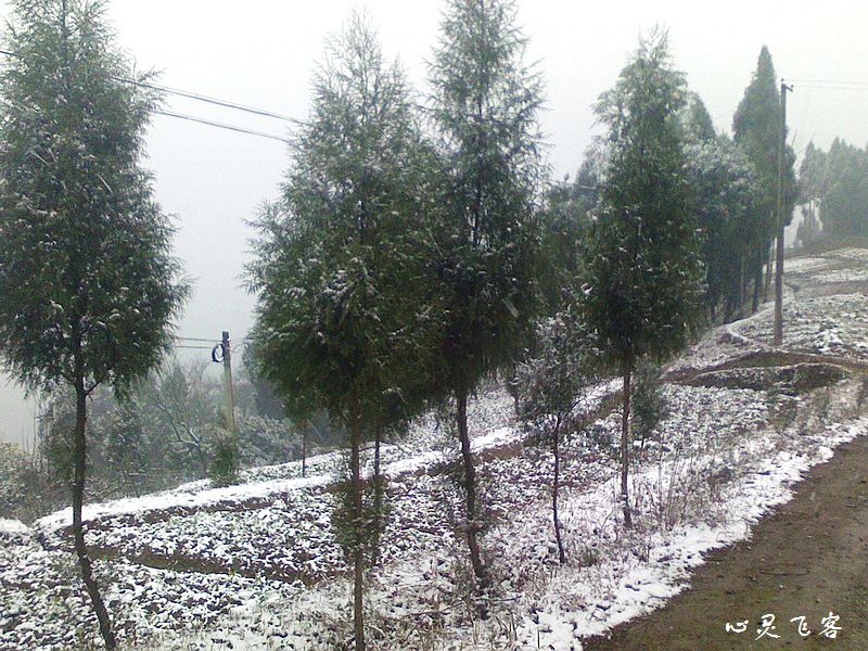 nEO_IMG_IMG0103152801.jpg