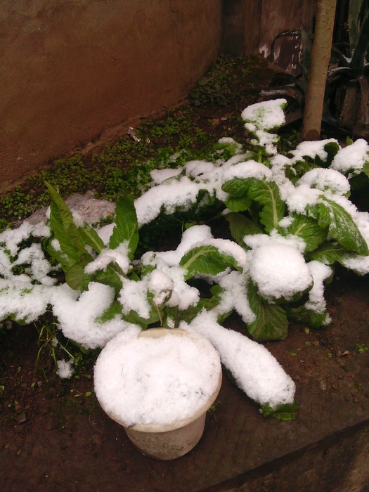 IMG00591.jpg