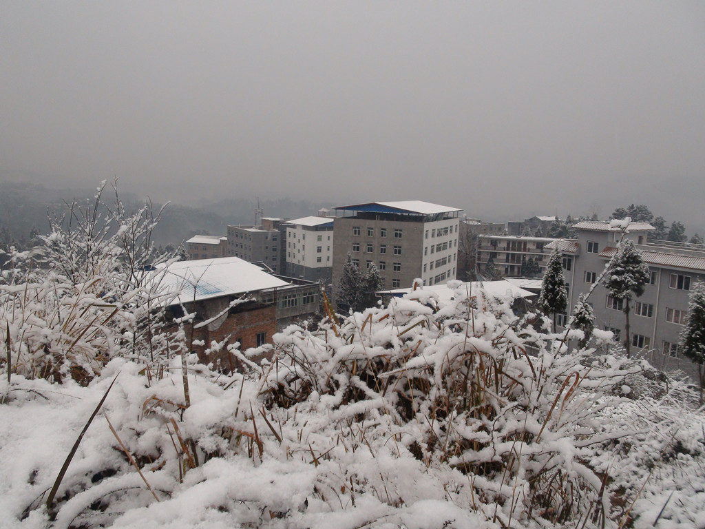 DSC02107.jpg