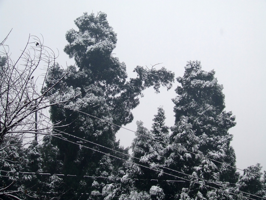 DSCF8487.JPG