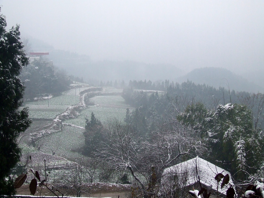DSCF8488.JPG