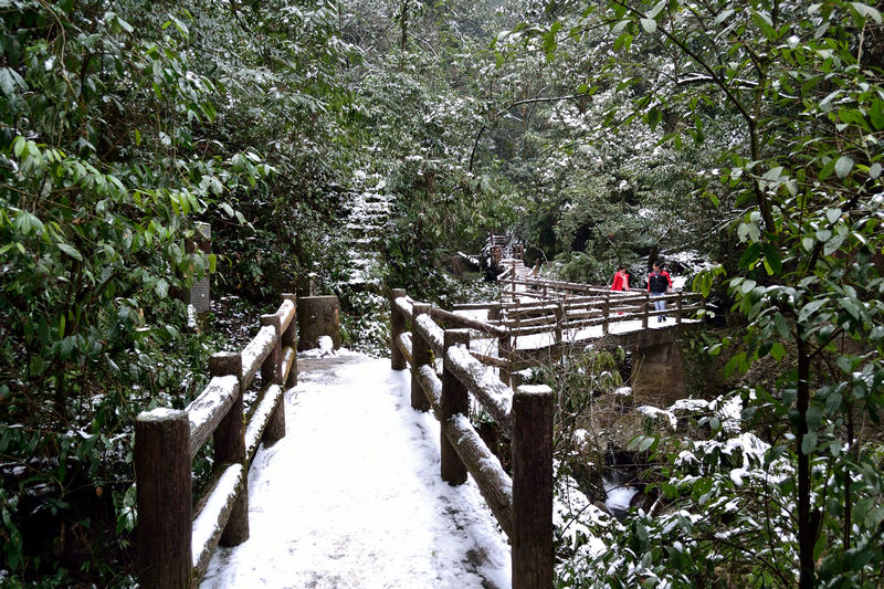 DSC_4762.jpg