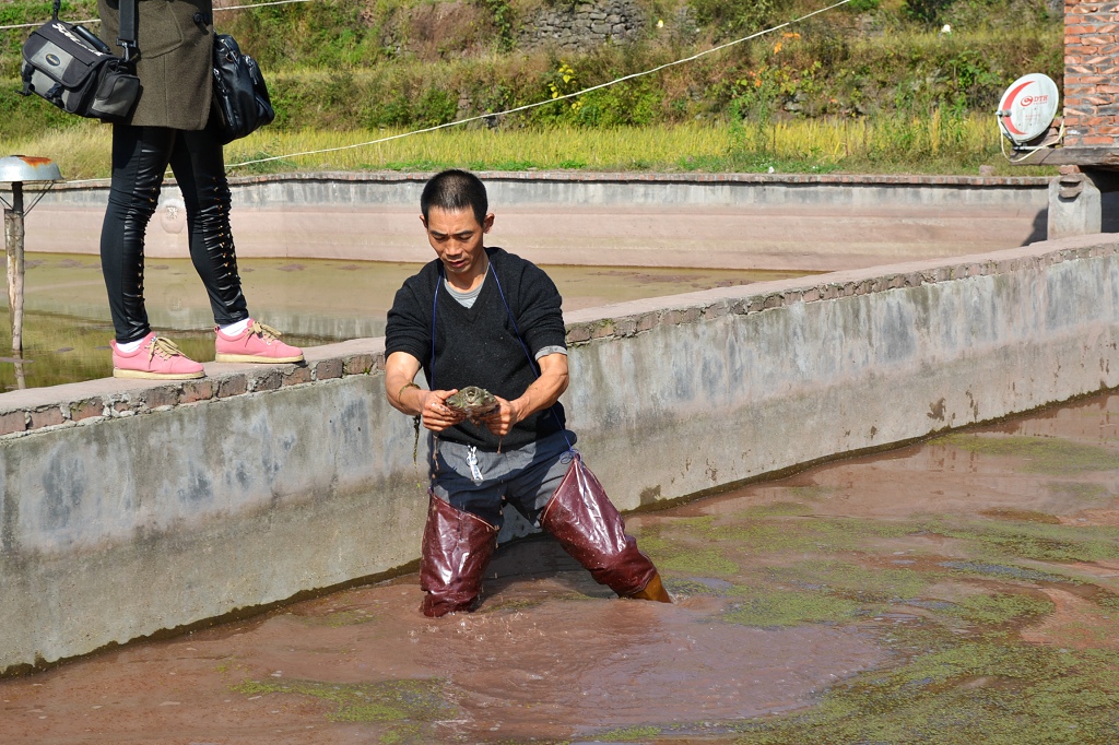 DSC_0732.JPG