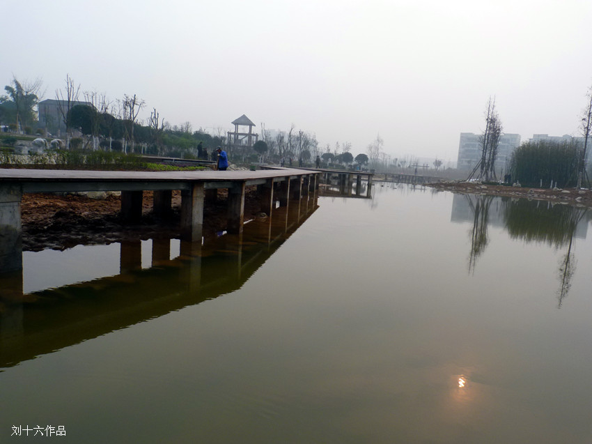 P1000562_.jpg