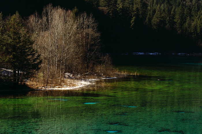 _MG_9963.JPG