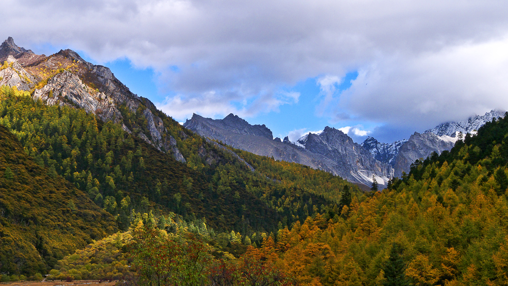 P1020009.jpg