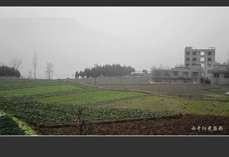 PICT0040.JPG
