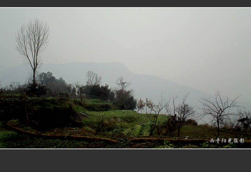 PICT0110.JPG
