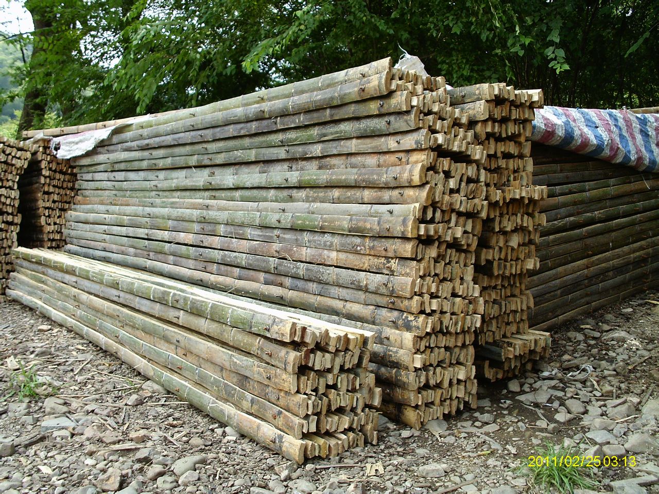 四川巴中市 建筑 竹架板,楠竹,竹梯