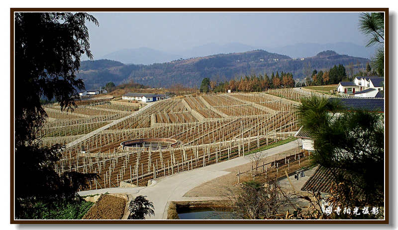 PICT0054.JPG