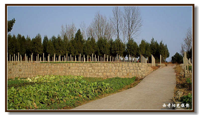PICT0066_conew1.jpg