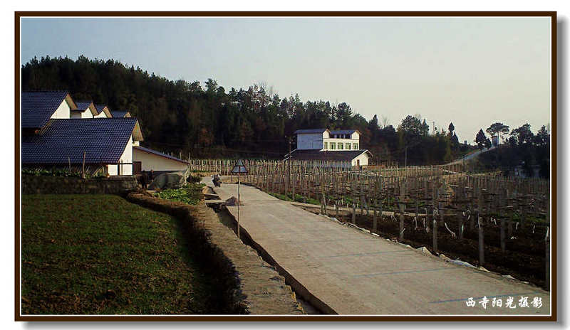 PICT0069_conew1.jpg