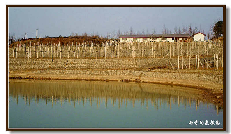 PICT0093_conew1.jpg