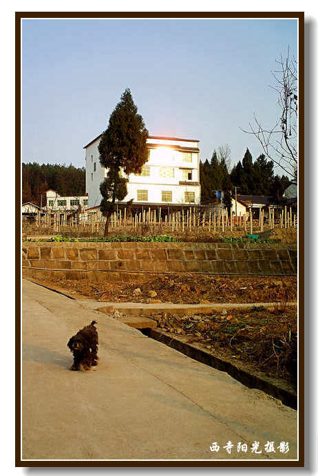 PICT0099.JPG