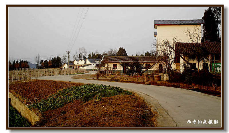PICT0114_conew1.jpg