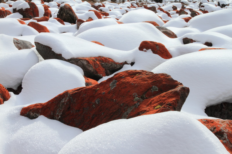 03DPP_0078.JPG