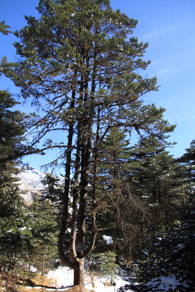 08DPP_0175.JPG