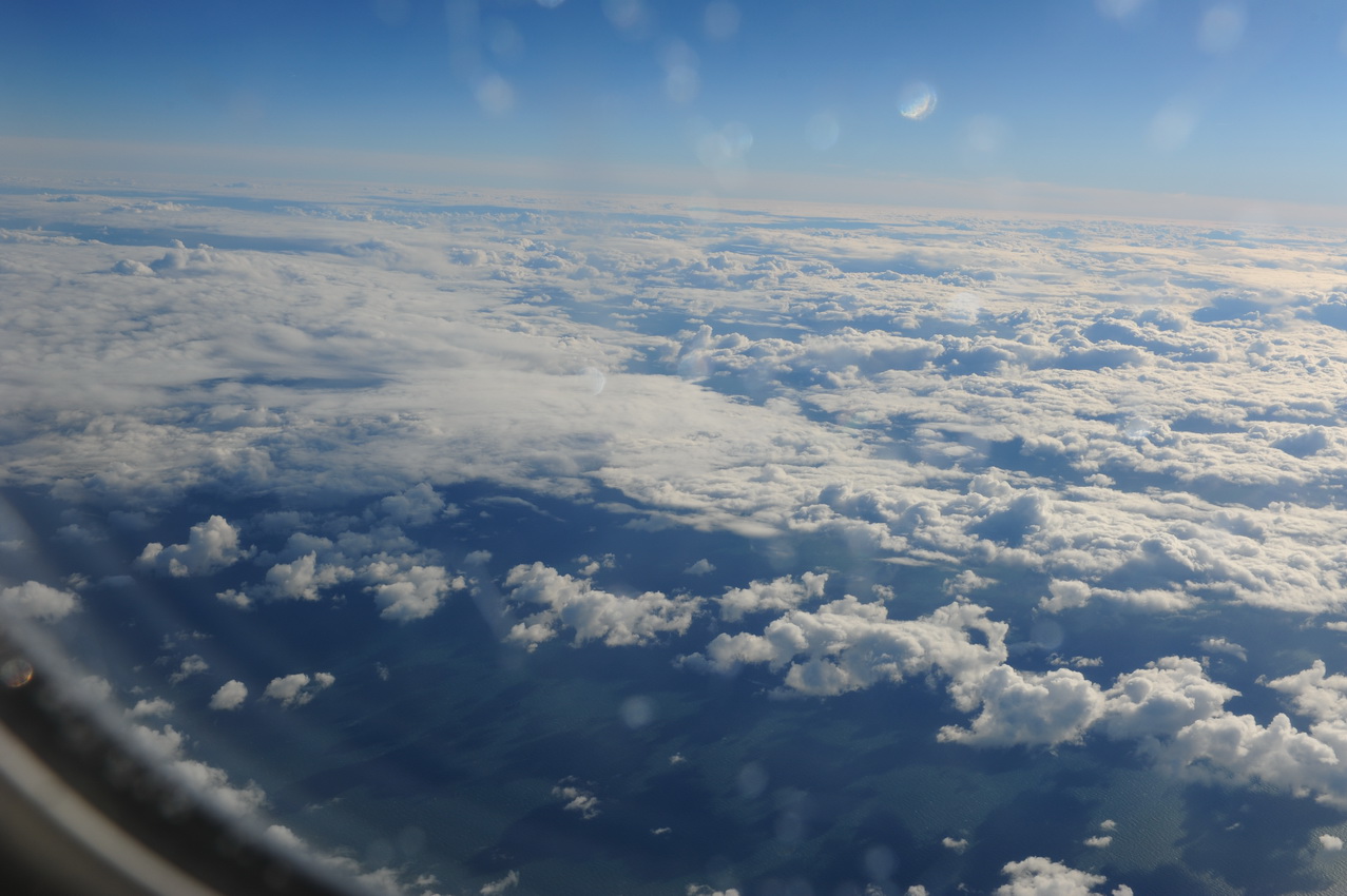 DSC_7910_С.JPG