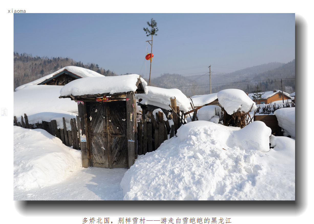 DSC_1346_nEO_IMG.jpg