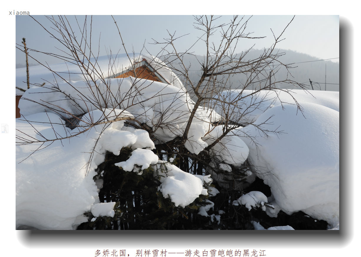 DSC_1365_nEO_IMG.jpg