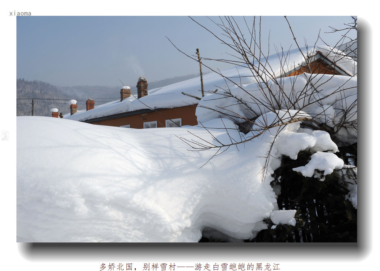 DSC_1366_nEO_IMG.jpg