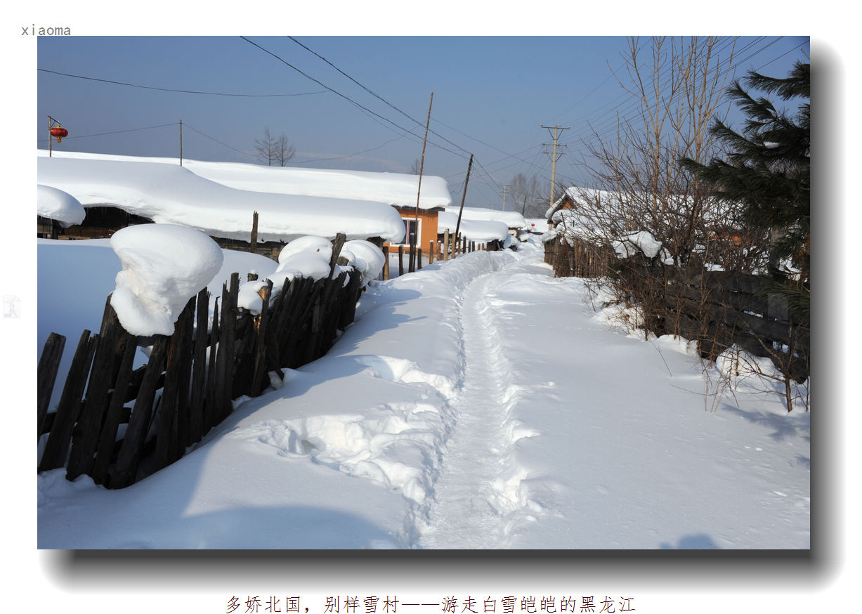 DSC_1382_nEO_IMG.jpg