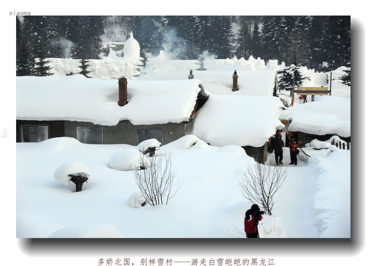 DSC_1518_nEO_IMG.jpg
