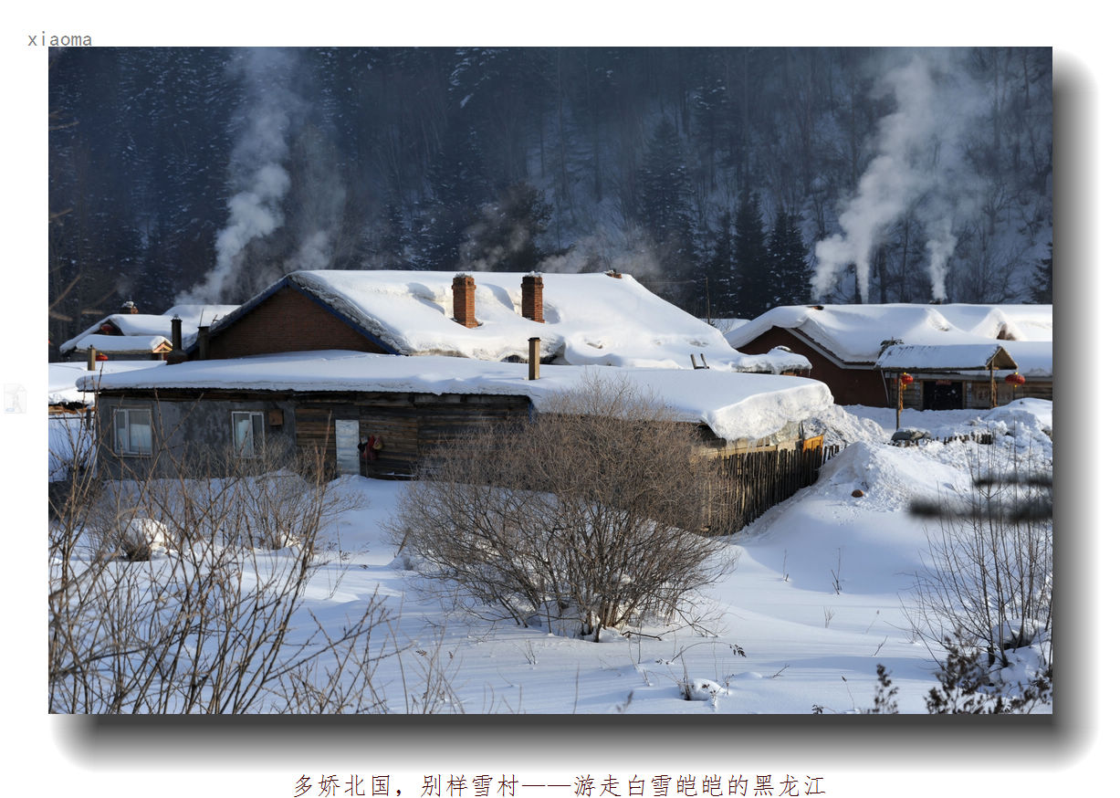 DSC_1758_nEO_IMG.jpg