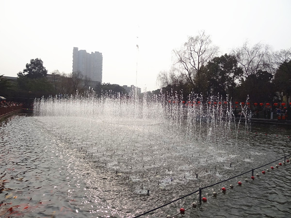 DSC02770_.jpg
