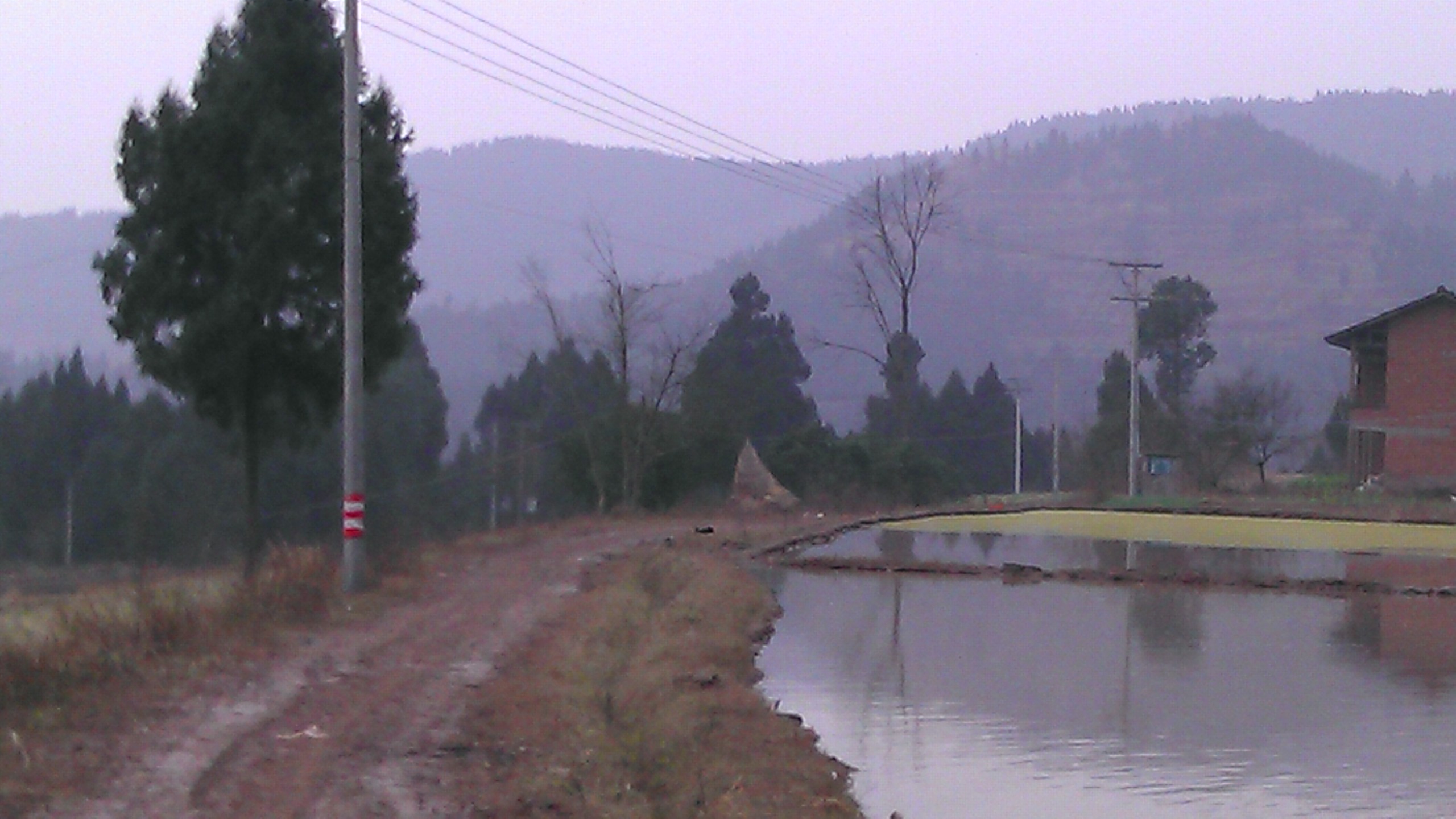 IMAG0419.jpg