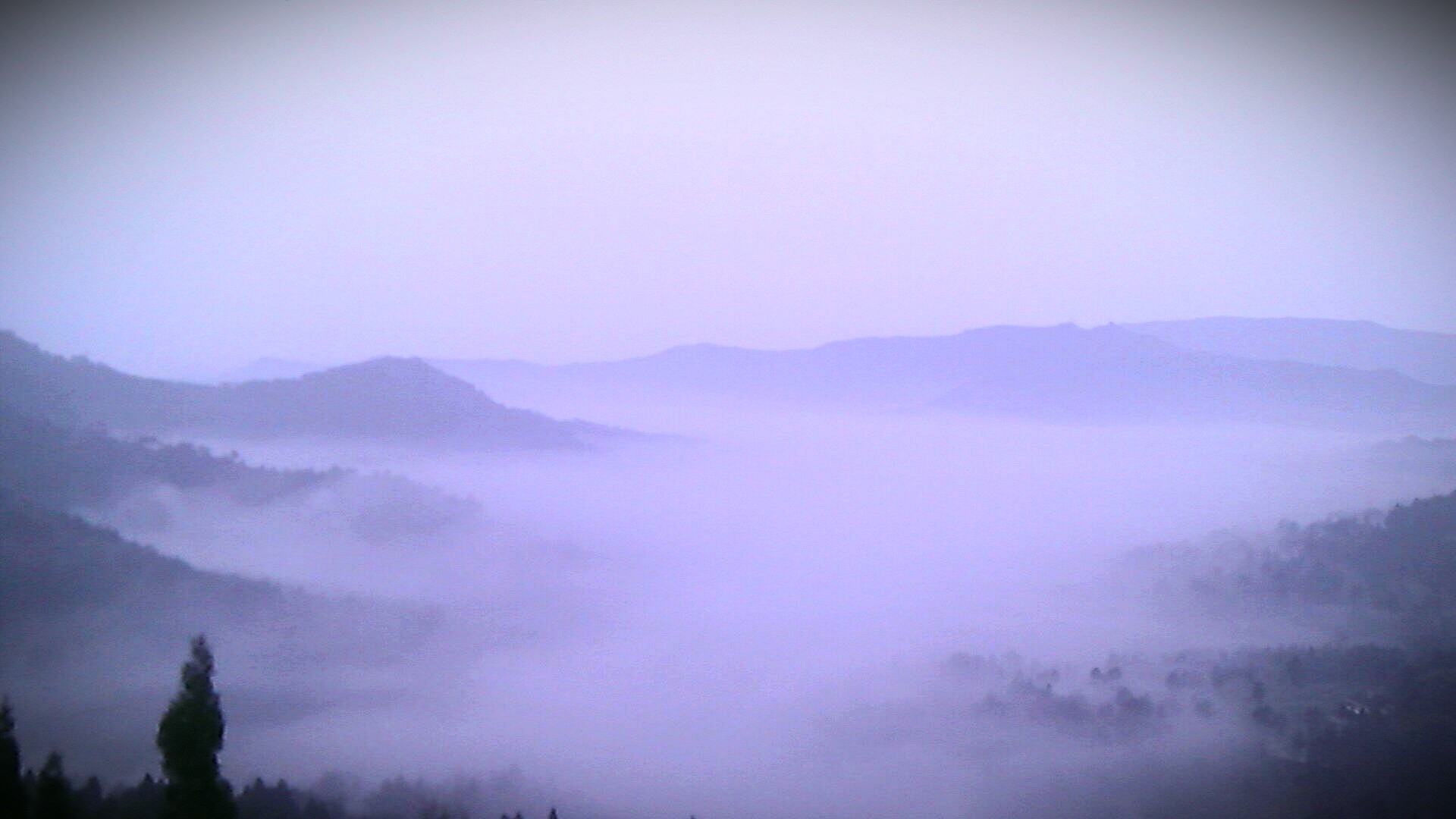 IMAG0984-1-1.jpg