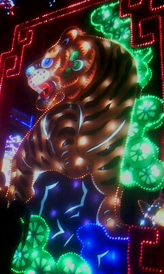 080213-2110.jpg