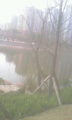 090213-1629.jpg