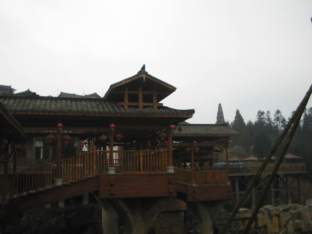 IMG_1684.jpg