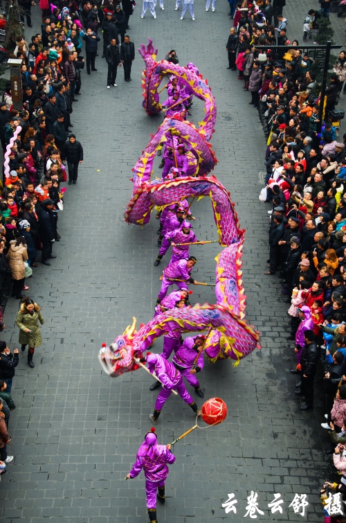 _DSC0802_conew1.jpg