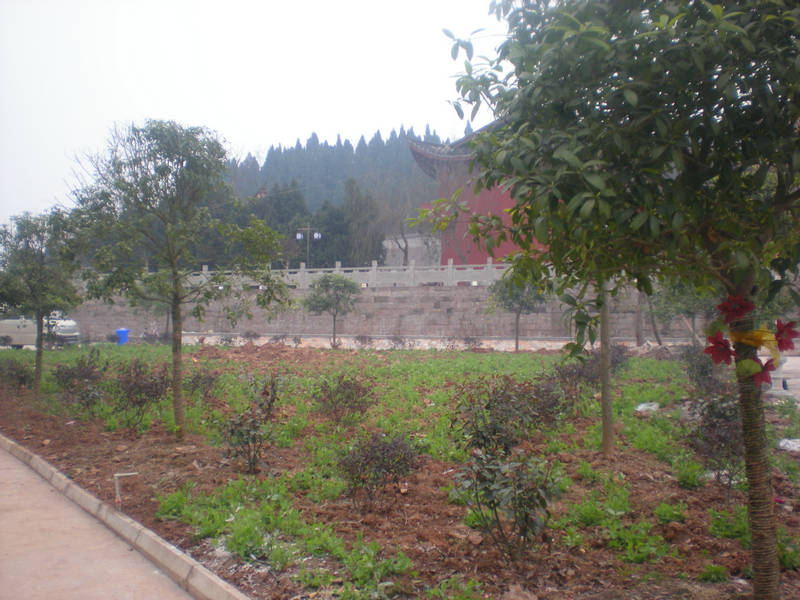 DSCN2504.JPG