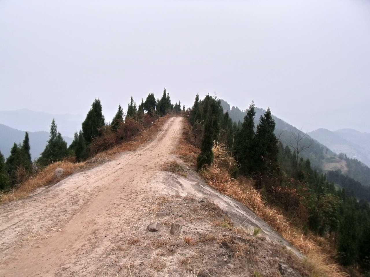 DSCF7375_СС.jpg