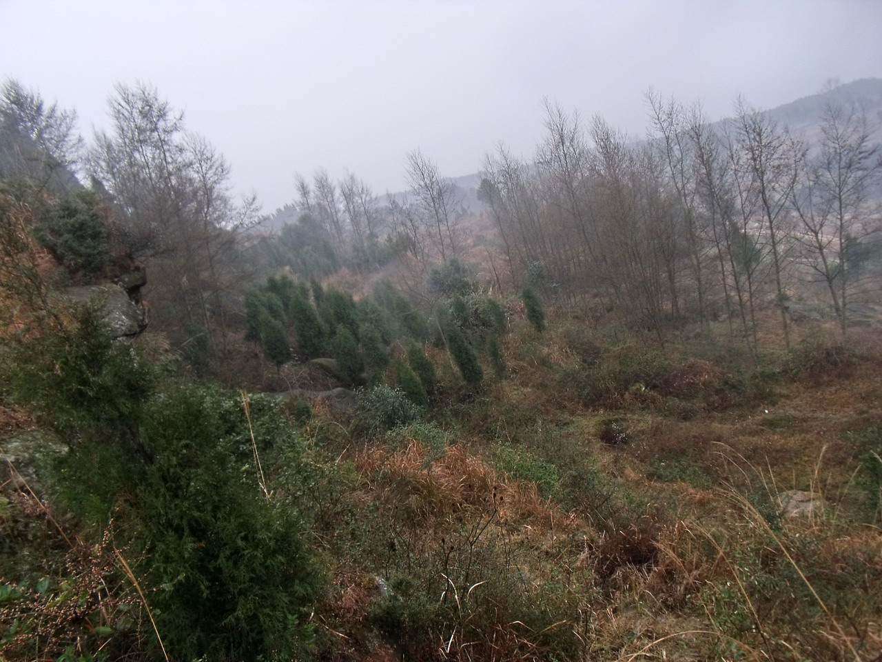 DSCF7422_СС.jpg