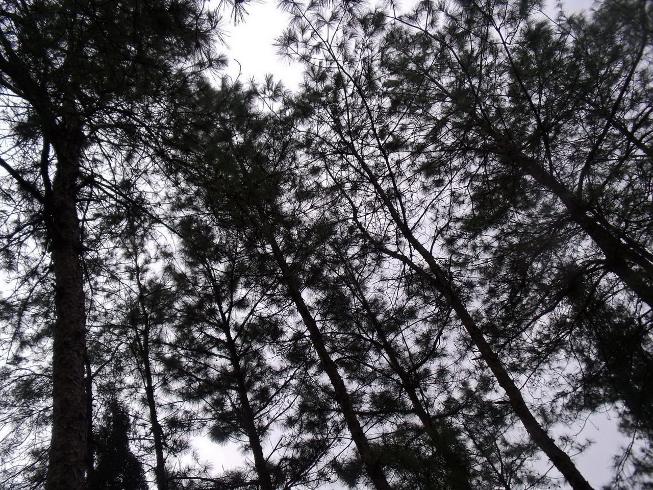 DSCF7464_СС.jpg