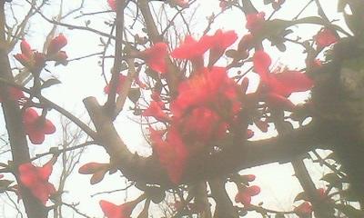 20130214