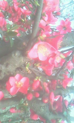 20130214