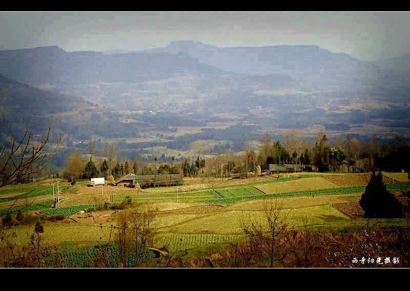 018_conew1.jpg