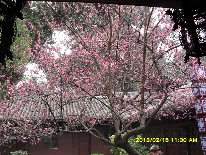 SDC15015.JPG
