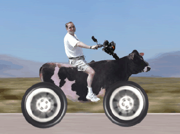 ţ.gif