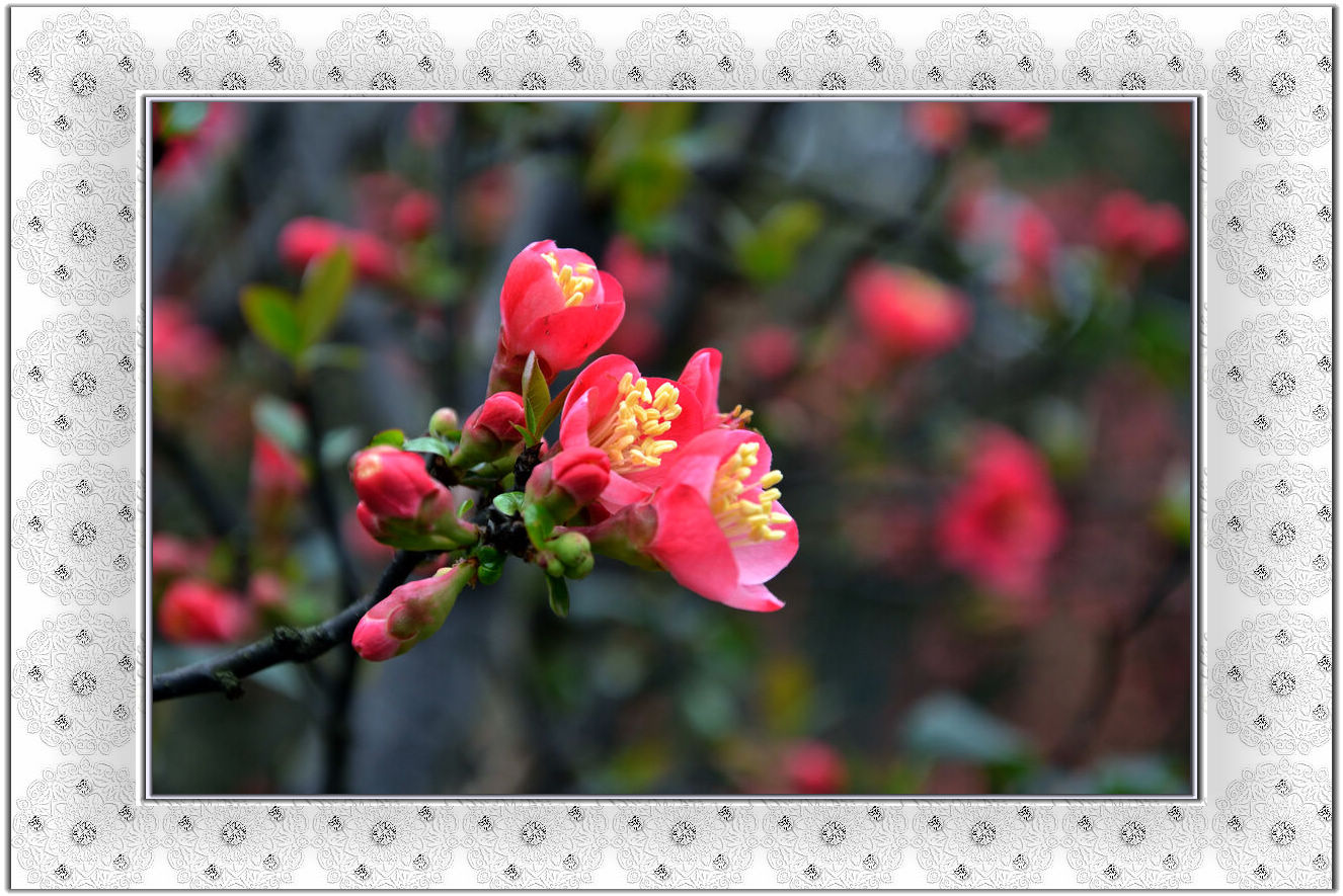 DSC_7272_1.jpg
